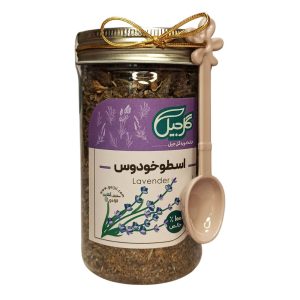 اسطوخودوس گل جیل