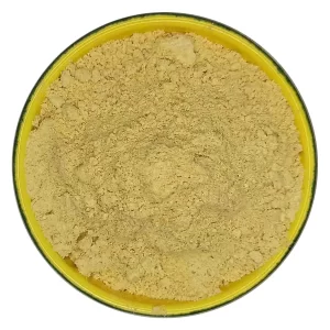 پودر زنجبیل گل‌جیل