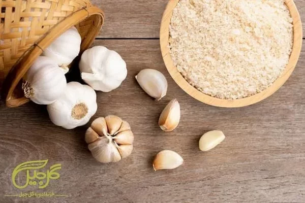 پودر پیاز گل‌جیل