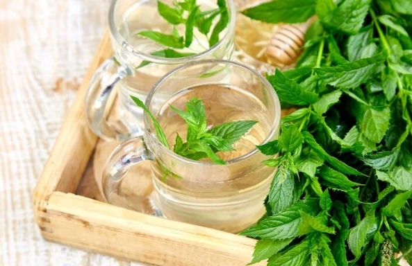 کاربردهای شگفت انگیز نعناع خشک