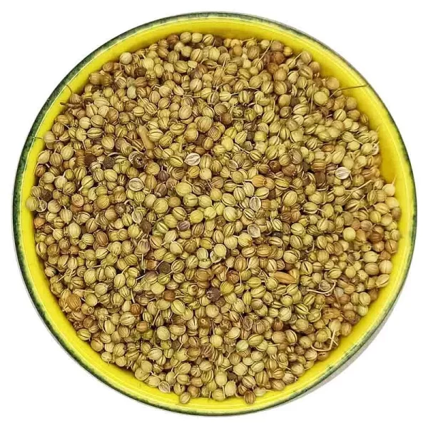 تخم گشنیز گل‌جیل