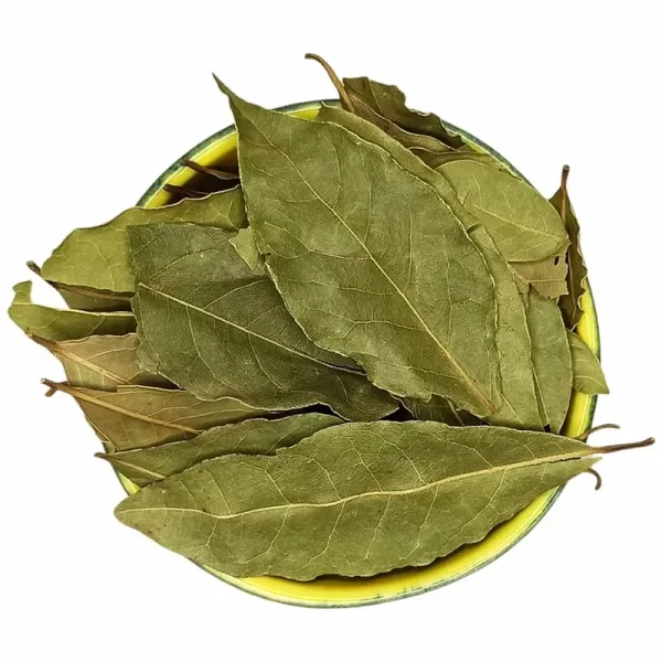 برگ بو گل‌جیل