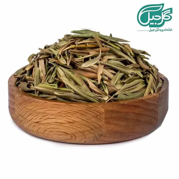 برگ زیتون خشک گل‌جیل