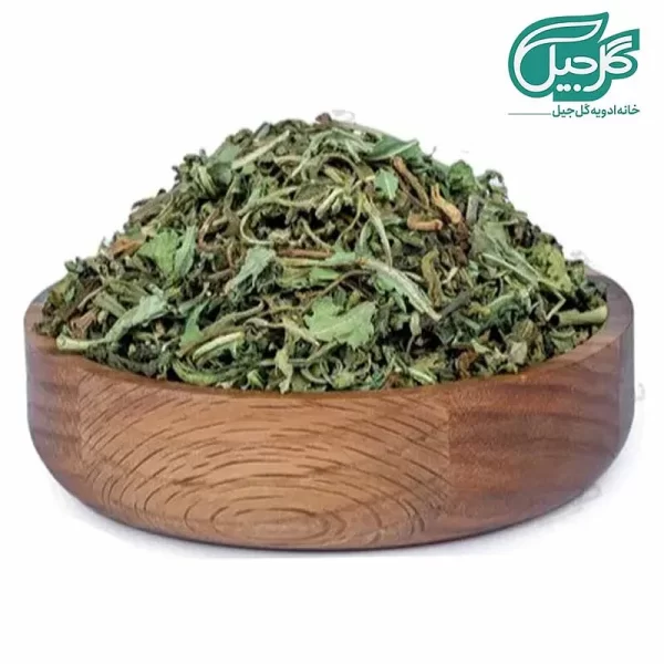 برگ کاسنی گل‌جیل