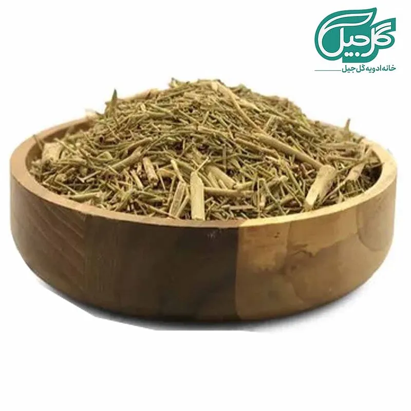 خارشتر گل‌جیل