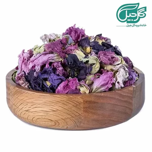 گل ختمی بنفش گل‌جیل
