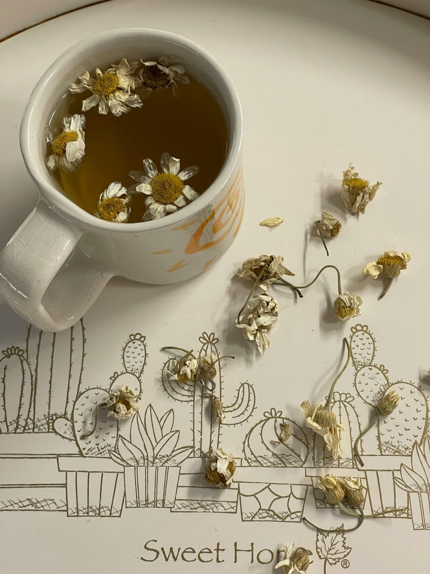 بابونه خشک برای چی خوبه