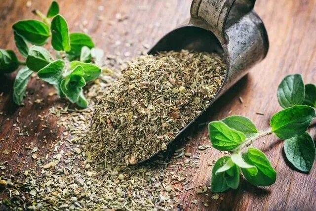 خواص درمانی برگ آویشن در طب سنتی