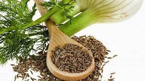 طریقه مصرف رازیانه برای لاغری