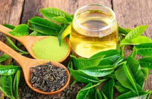 تاثیر چای سبز بر متابولیسم