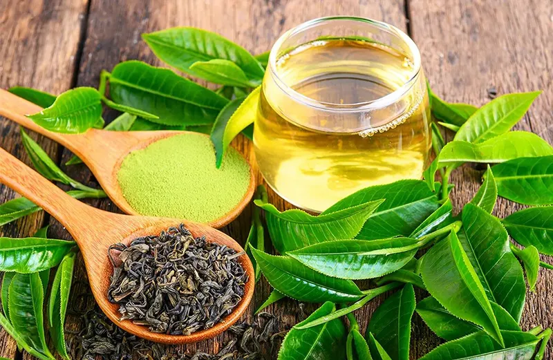 تاثیر چای سبز بر متابولیسم