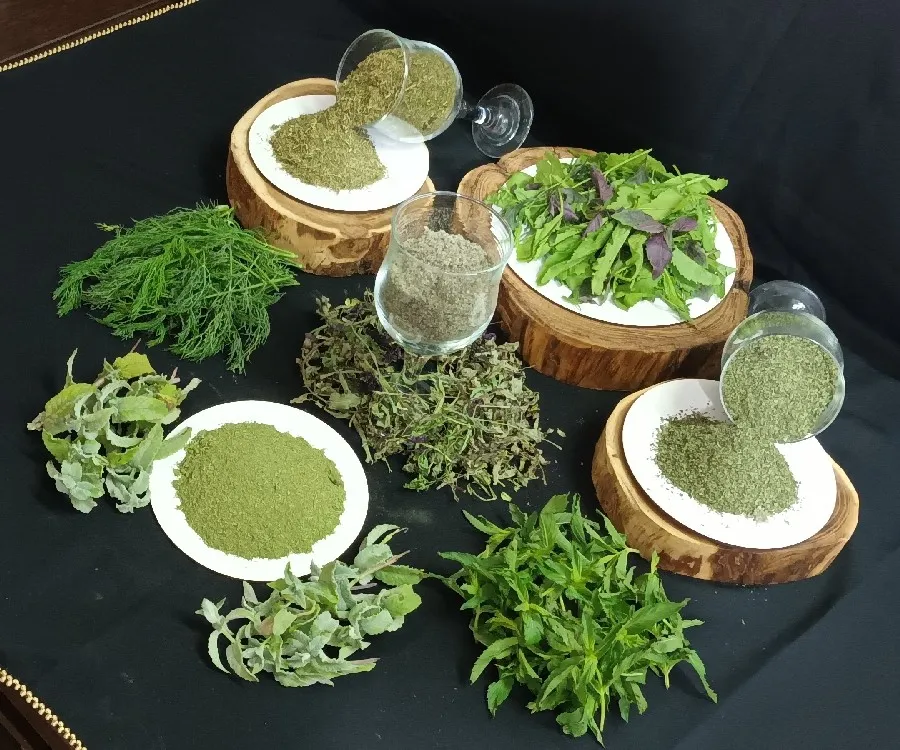 روش نگهداری سبز خشک