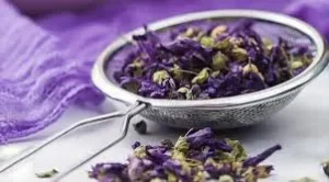 درمان سریع چرک ریه