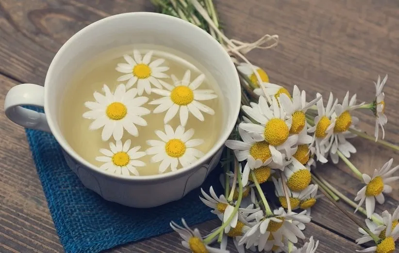 تأثیر دمنوش ها بر کاهش علائم آلرژی فصلی