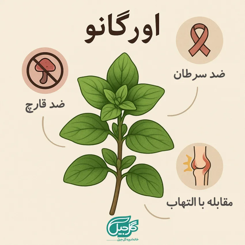 اورگانو ارگانیک چیست| خواص اورگانو
