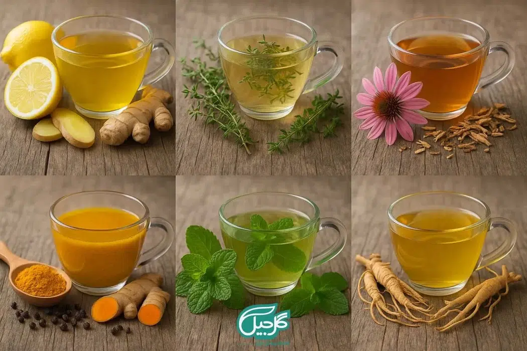 راهنمای بهترین دمنوش برای تقویت سیستم ایمنی بدن