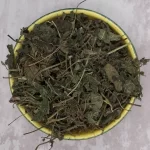 قیمت و خریدگزنه گل جیل